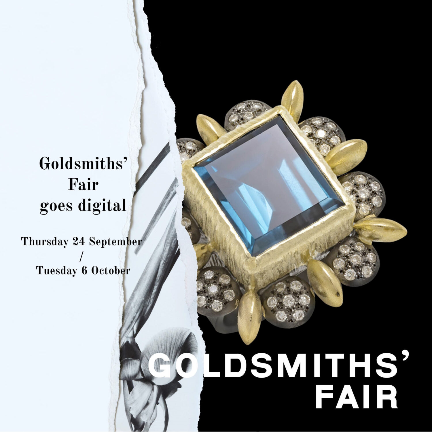 Disa goes digital with Goldsmiths’ Fair! Disa Allsopp Ltd